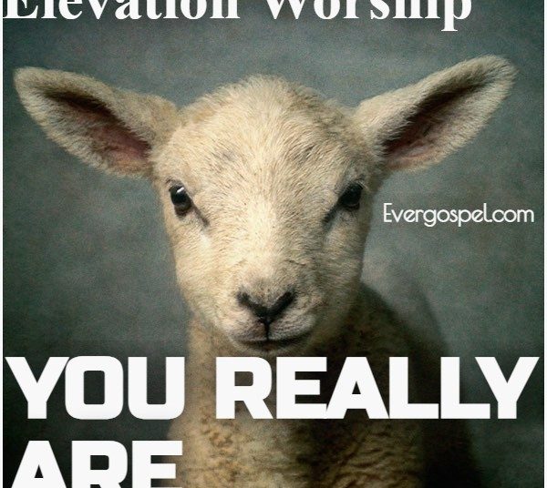 Elevation Worship You Really Are